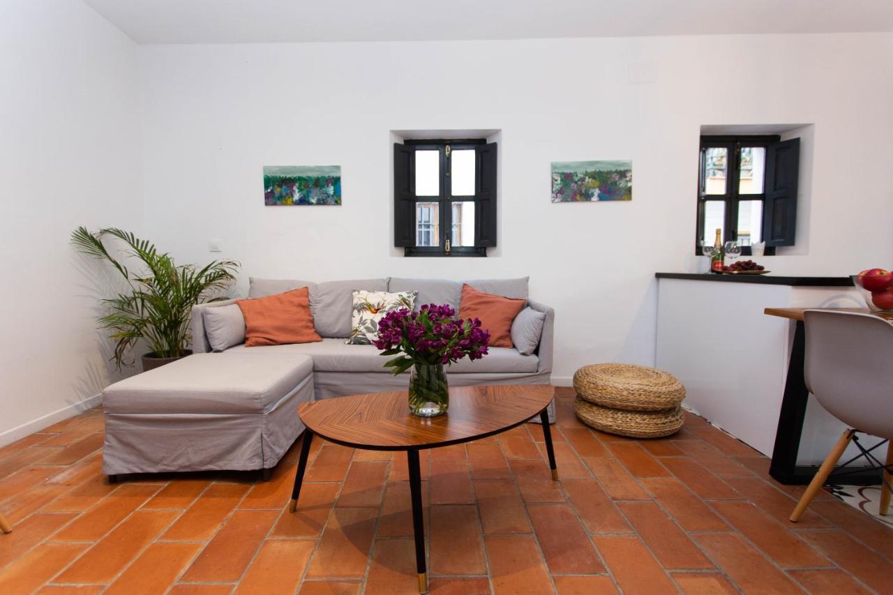 Apartament Corral Del Conde *